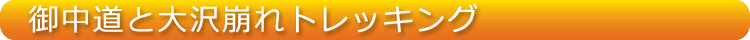 �䒆���Ƒ�����g���b�L���O