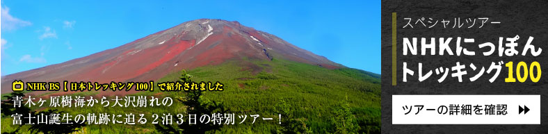 NHKɂۂgbLO100