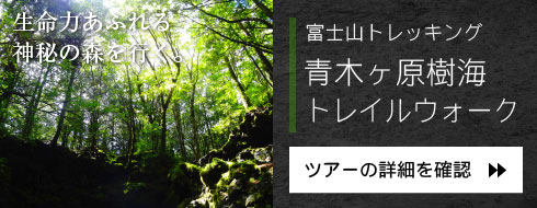 ؃CgCEH[N