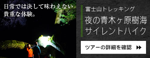 ̐؃C TCgnCN
